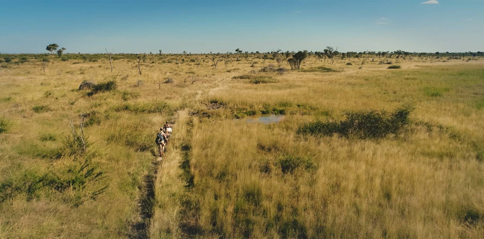 aleksandra-orbeck-nilssen-the-long-walk-push_0