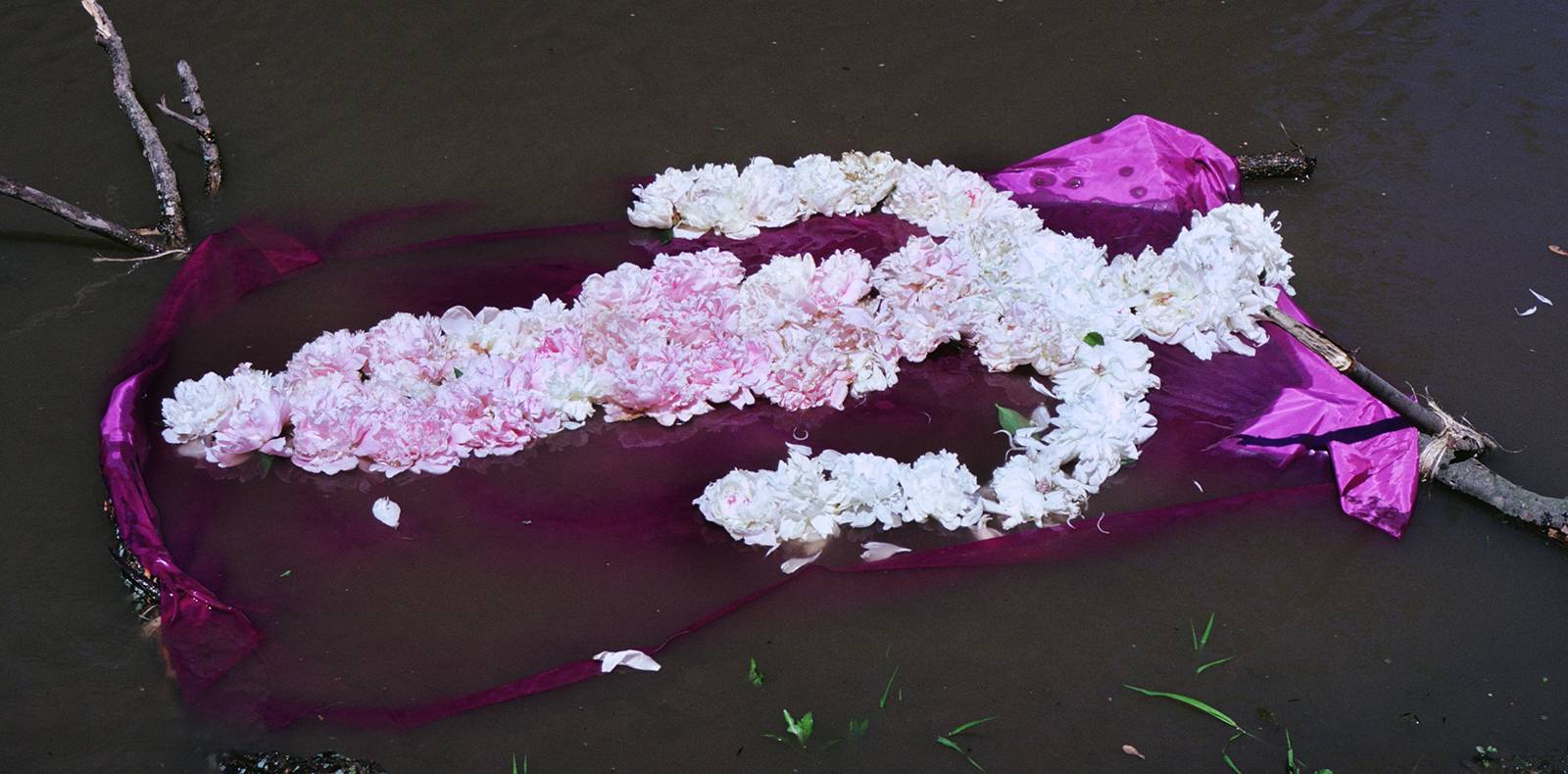 Ana Mendieta, Montpellier, MOCO, exposition