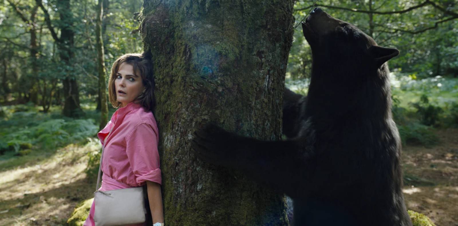 crazy-bear-elizabeth-banks-keri-russell-ray-liotta-chronique-histoire-vraie2