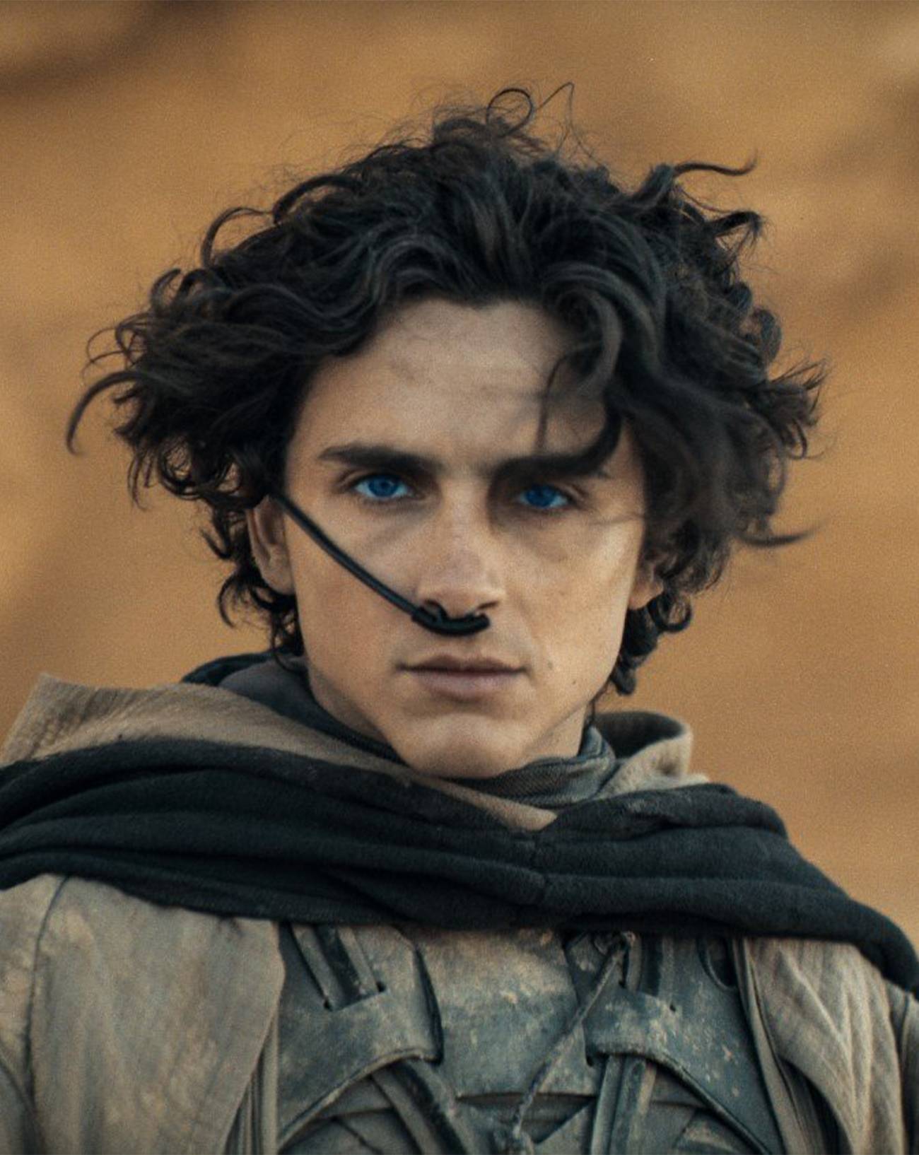 Dune 2, Timothée Chalamet, Films les plus attendus de 2024, Priscilla, Sofia Coppola