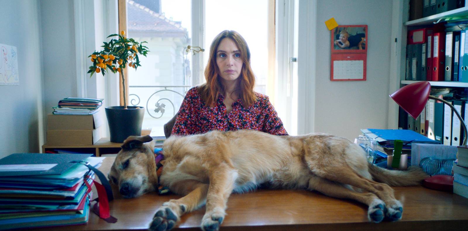 Festival de Cannes 2024, Noémie Merlant, Actrices, Réalisatrices, Les femmes au balcon, Le Procès du chien