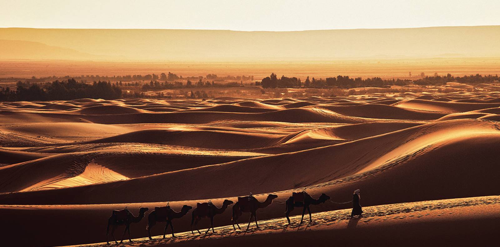 Ariel Wizman, Livre, Maroc, Terre de lumière